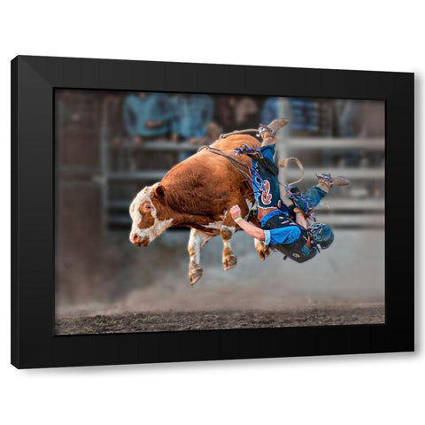 Bull Riding Black Modern Wood Framed Art Print with Double Matting by Ma, Frank