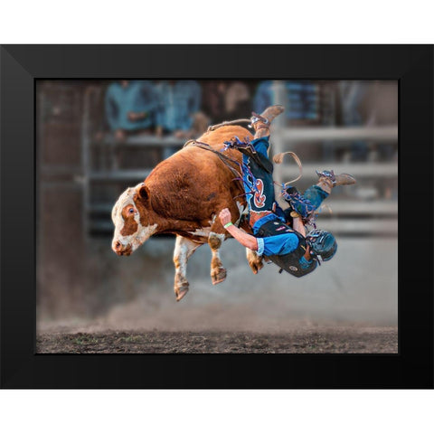 Bull Riding Black Modern Wood Framed Art Print by Ma, Frank
