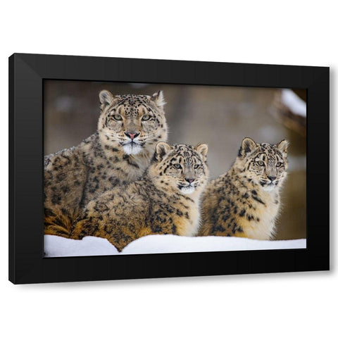 Family Black Modern Wood Framed Art Print with Double Matting by Blair, Louis