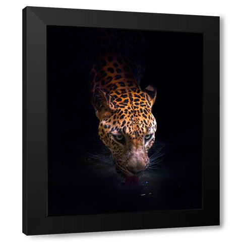 Drinking Black Modern Wood Framed Art Print with Double Matting by Bunjamin (Abe), Antonyus