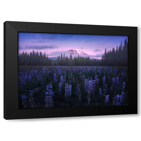 Adams Lupine Black Modern Wood Framed Art Print by Bandyopadhyay, Atanu