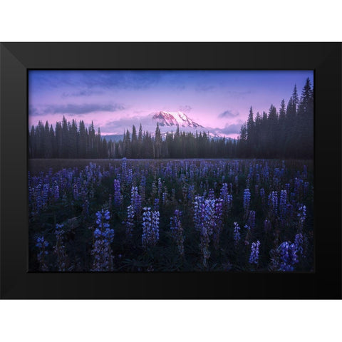 Adams Lupine Black Modern Wood Framed Art Print by Bandyopadhyay, Atanu