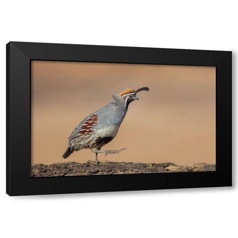 Forward-March! Black Modern Wood Framed Art Print with Double Matting by Barsh, Greg