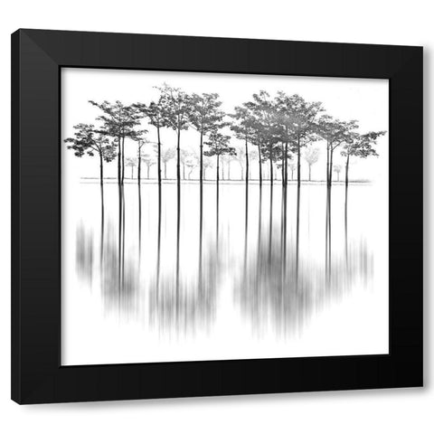 Reflections Black Modern Wood Framed Art Print with Double Matting by Ur Rahman, Sami