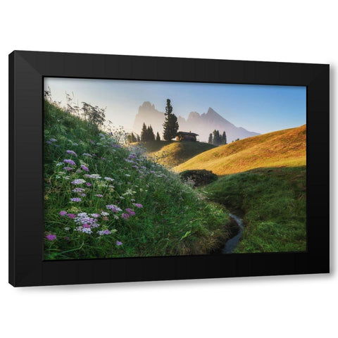 Flowery Morning Black Modern Wood Framed Art Print by Krivec, Ales