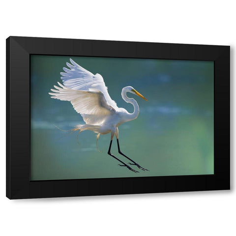 Untitled Black Modern Wood Framed Art Print with Double Matting by Cloud, Mountain