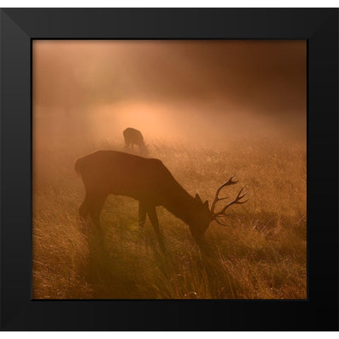 Light Means Everything... Black Modern Wood Framed Art Print by Fabrowski, Robert