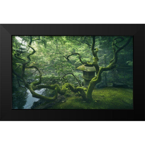 Japanese Tree Black Modern Wood Framed Art Print by De La, Javier