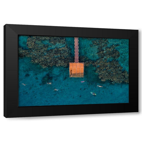 Coral Escape Black Modern Wood Framed Art Print by Meirovich, Ido