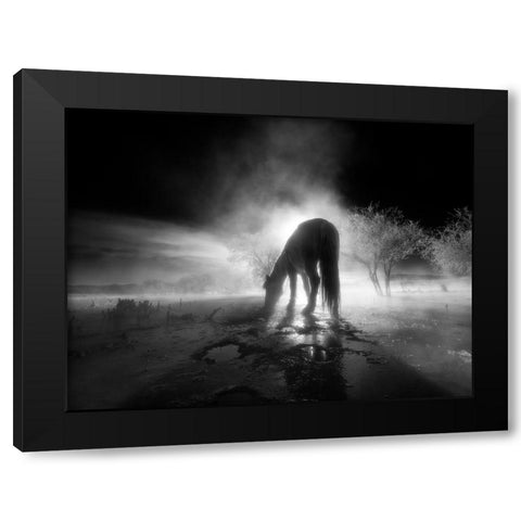 The winter Black Modern Wood Framed Art Print with Double Matting by Z, Bingo