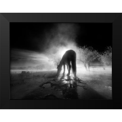 The winter Black Modern Wood Framed Art Print by Z, Bingo