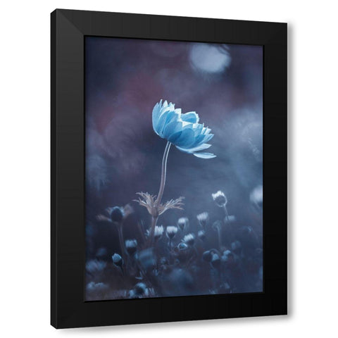 A Short Story Of Flower Black Modern Wood Framed Art Print by Bravin, Fabien