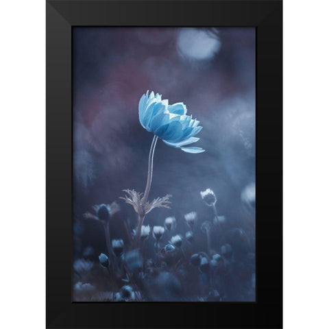 A Short Story Of Flower Black Modern Wood Framed Art Print by Bravin, Fabien