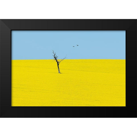 Canola Flowers Black Modern Wood Framed Art Print by Ivylu