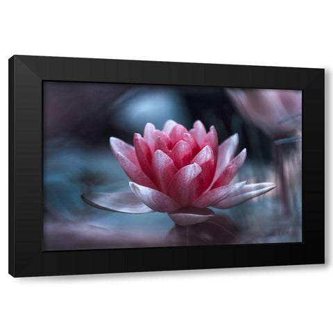 Offer Black Modern Wood Framed Art Print with Double Matting by Bravin, Fabien