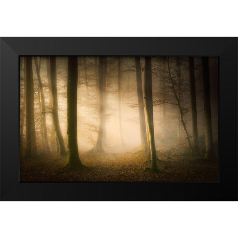 November Whispers Black Modern Wood Framed Art Print by Maier, Norbert