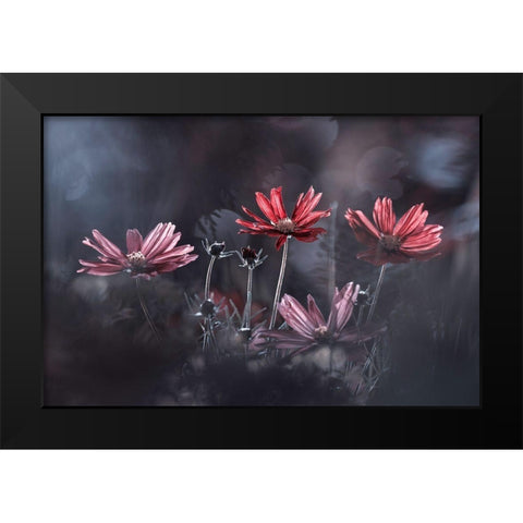 Les Fleurs Du Bien Black Modern Wood Framed Art Print by Bravin, Fabien