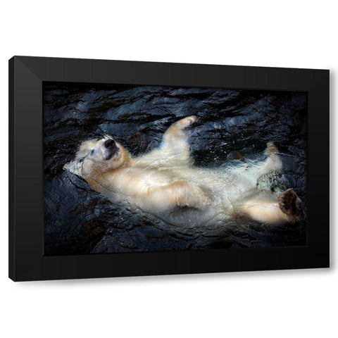 Her Cuteness-Floating .... Black Modern Wood Framed Art Print by Wenner-Braun, Antje