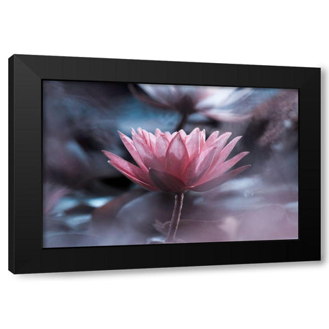 Silence Black Modern Wood Framed Art Print with Double Matting by Bravin, Fabien