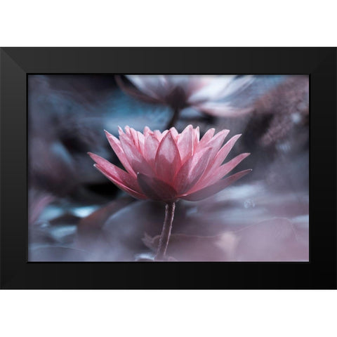 Silence Black Modern Wood Framed Art Print by Bravin, Fabien