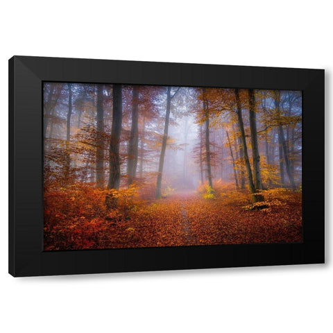 October Trail Black Modern Wood Framed Art Print by Maier, Norbert