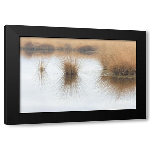 Piping Straw Black Modern Wood Framed Art Print with Double Matting by Cornelis, Ann