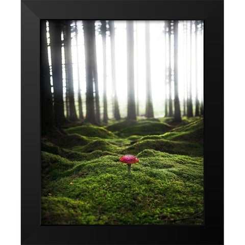 Red Mushroom In The Green Forest Black Modern Wood Framed Art Print by Lindsten, Christian