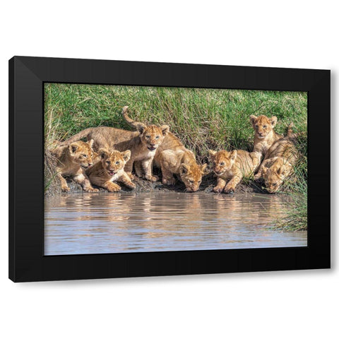 Putting The Band Back Together.... Black Modern Wood Framed Art Print with Double Matting by C. Sink, Jeffrey