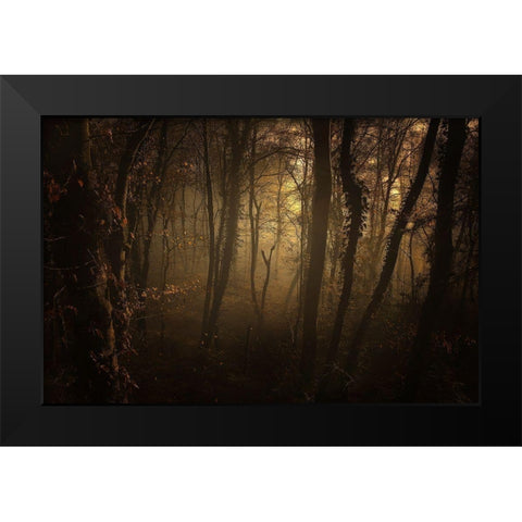 Late Afternoon Black Modern Wood Framed Art Print by Maier, Norbert