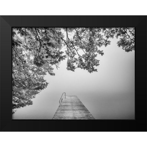 The Sound Of Silence Black Modern Wood Framed Art Print by Lisa Roeder, Margit