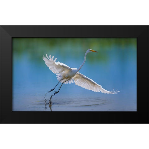 Untitled Black Modern Wood Framed Art Print by Cloud, Mountain