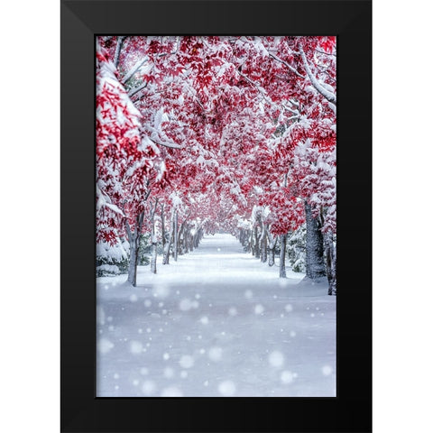 Untitled Black Modern Wood Framed Art Print by Nagahata, Yuusei