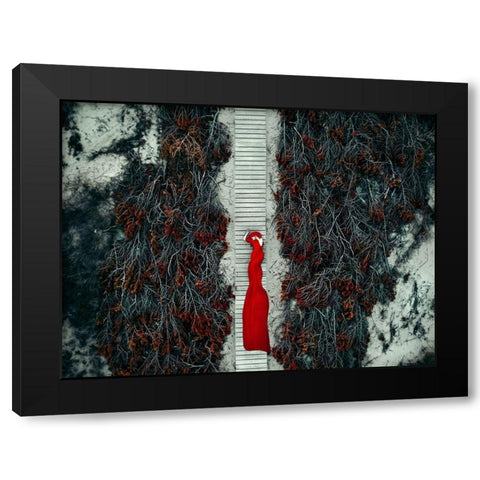 My Road-My Dream-My Life... Black Modern Wood Framed Art Print with Double Matting by Bolgov, Ruslan