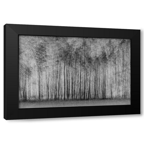 Impenetrable Forest Black Modern Wood Framed Art Print with Double Matting by Schleicher-Schwarz, Roswitha