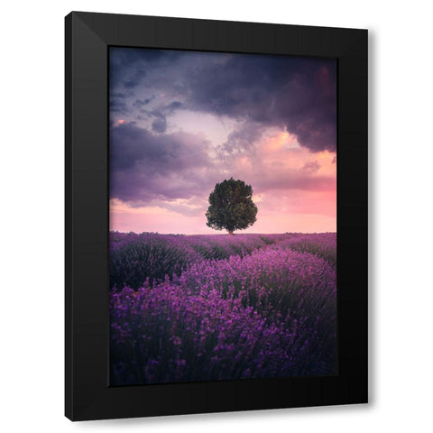 Lavender Fields, Isparta Black Modern Wood Framed Art Print with Double Matting by Cevik, Cuma
