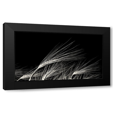 Grain Of Life Black Modern Wood Framed Art Print by Claes, Gilbert