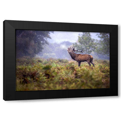 Scream In The Rain Black Modern Wood Framed Art Print with Double Matting by Redaelli, Marco