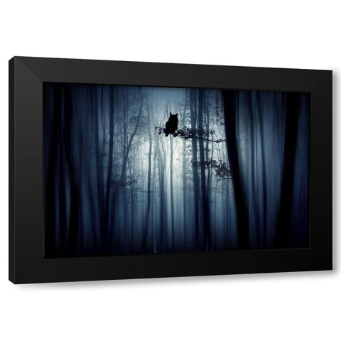 In The Forest Black Modern Wood Framed Art Print with Double Matting by Erika, Eros