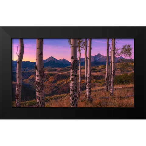 Aspen Frames Black Modern Wood Framed Art Print by Xu, Mei