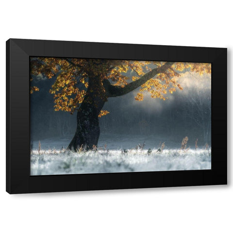 Morning Breath Black Modern Wood Framed Art Print by Saowanee, Suntararak