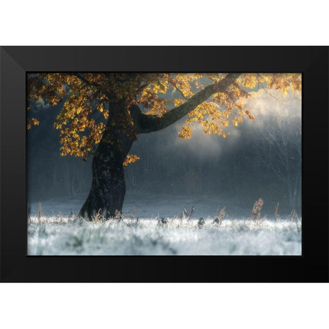 Morning Breath Black Modern Wood Framed Art Print by Saowanee, Suntararak