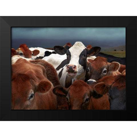Laughing Cow Black Modern Wood Framed Art Print by Perlow, Gary