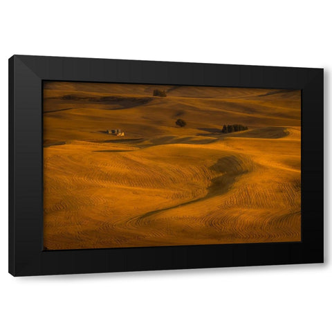 Wheat Field In Sunset Black Modern Wood Framed Art Print by Wang, David