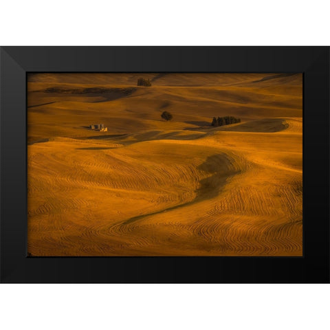Wheat Field In Sunset Black Modern Wood Framed Art Print by Wang, David