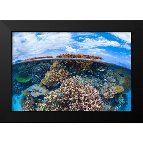 Split Level From Mayotte Reef Black Modern Wood Framed Art Print by Gabriel, Barathieu