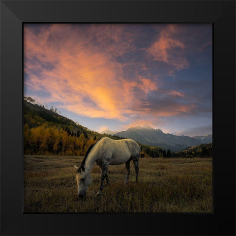 The Paradise Black Modern Wood Framed Art Print by Fan, John