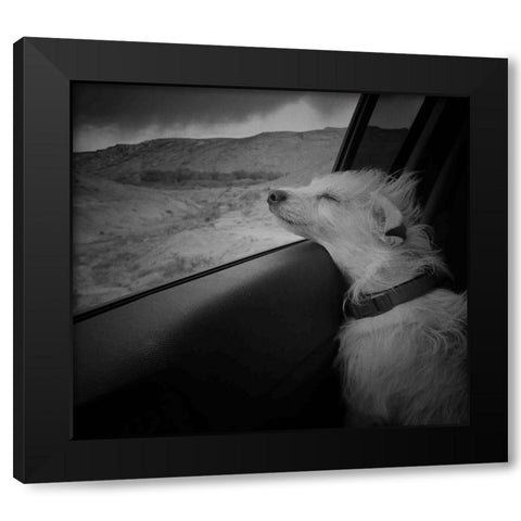 Venancia Black Modern Wood Framed Art Print with Double Matting by Labagnara, Roxana