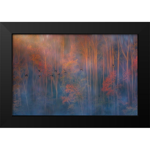 Misty Morning Black Modern Wood Framed Art Print by P., Ruiqing