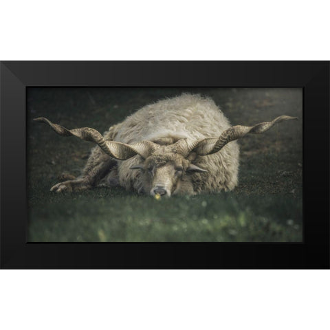 Something On My Mind Black Modern Wood Framed Art Print by De Franzoni, Thomas