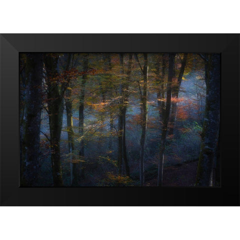 The Fairy Forest Black Modern Wood Framed Art Print by Marchegiani, Roberto